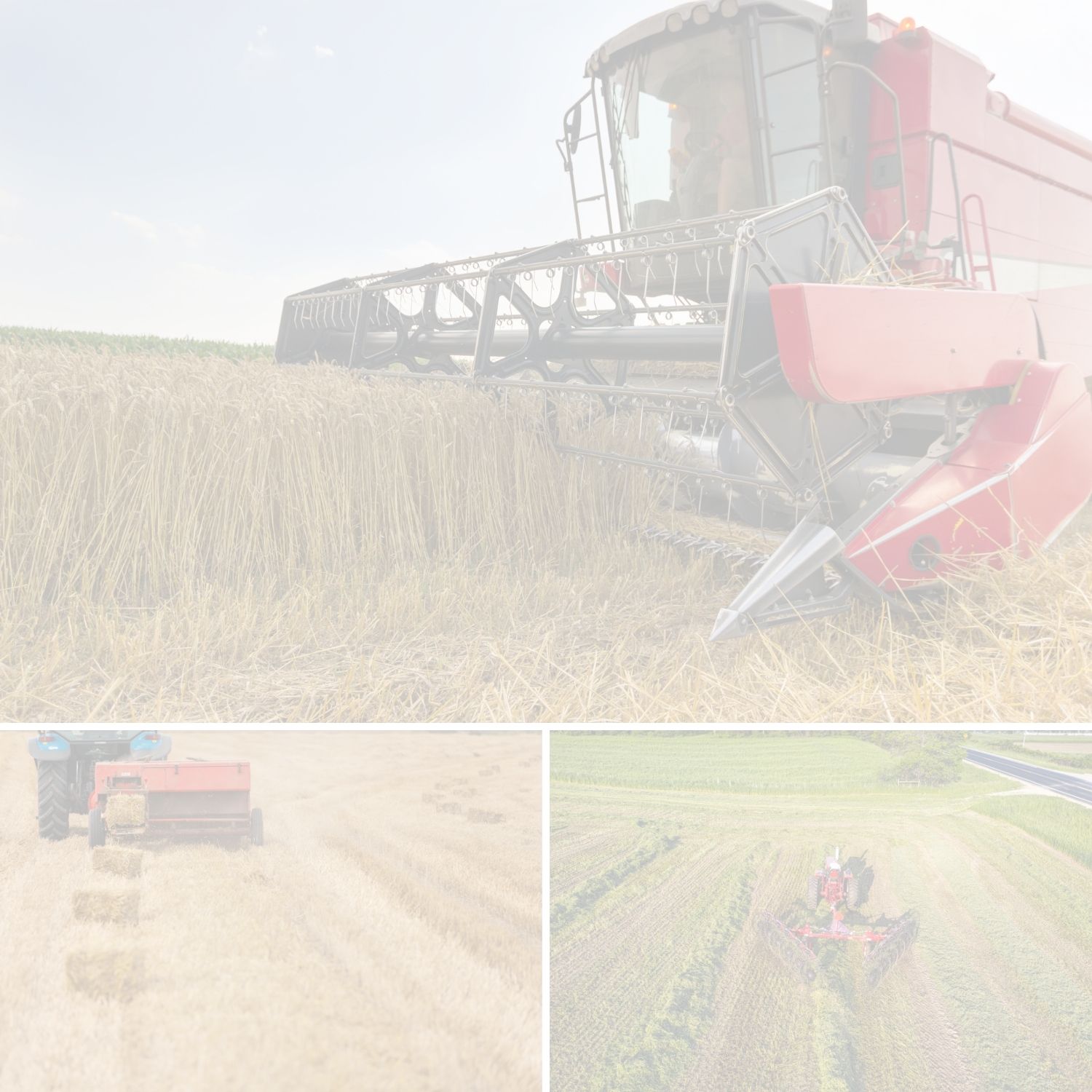 Site Under Construction